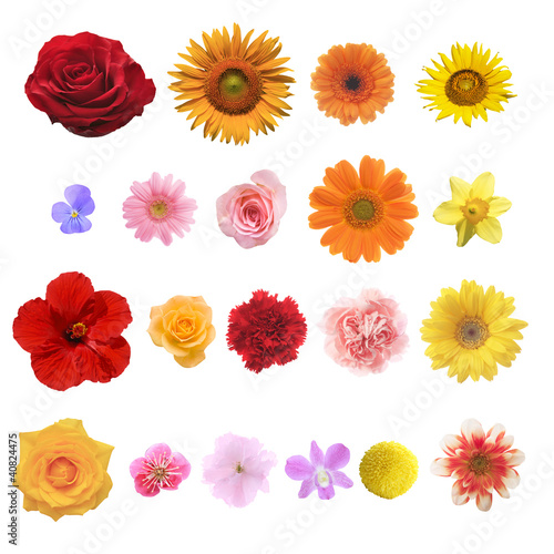 色々な花の素材 Stock 写真 Adobe Stock