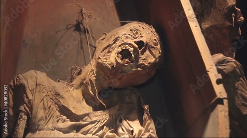 Mummy in the Grave