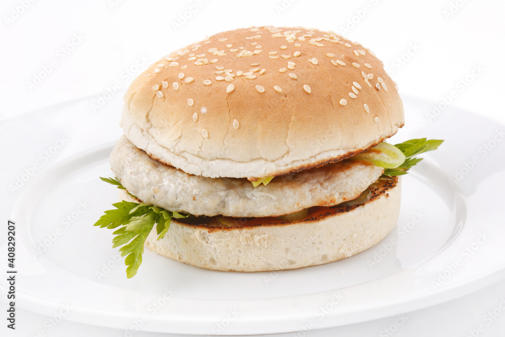 hamburger on the plate hamburger on the plate