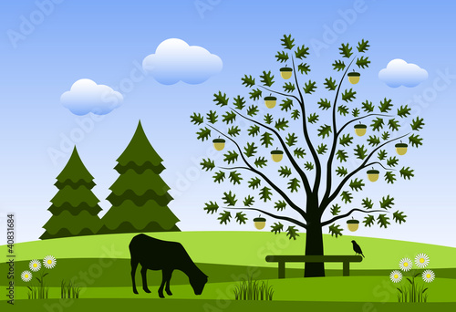 rural landscape