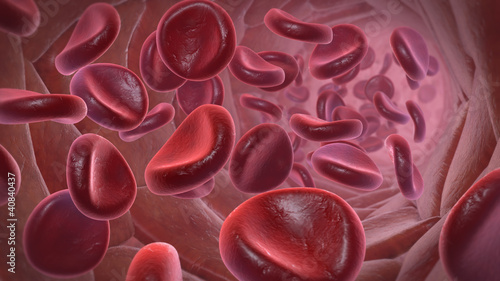 Blutbahn mit Erythrozyten (rote Blutkörperchen)