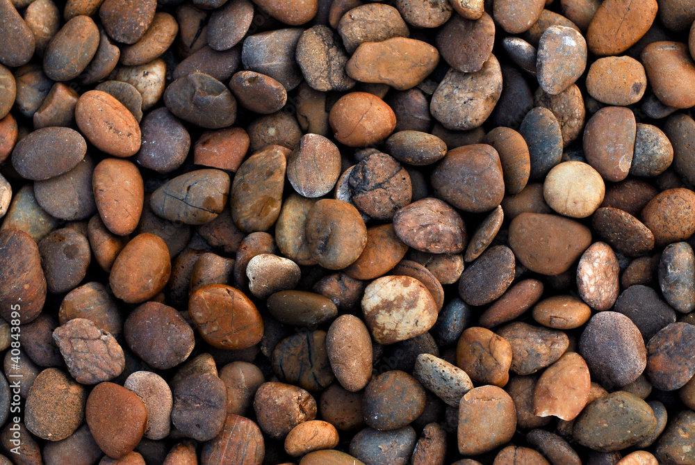 Gravel at the garden.