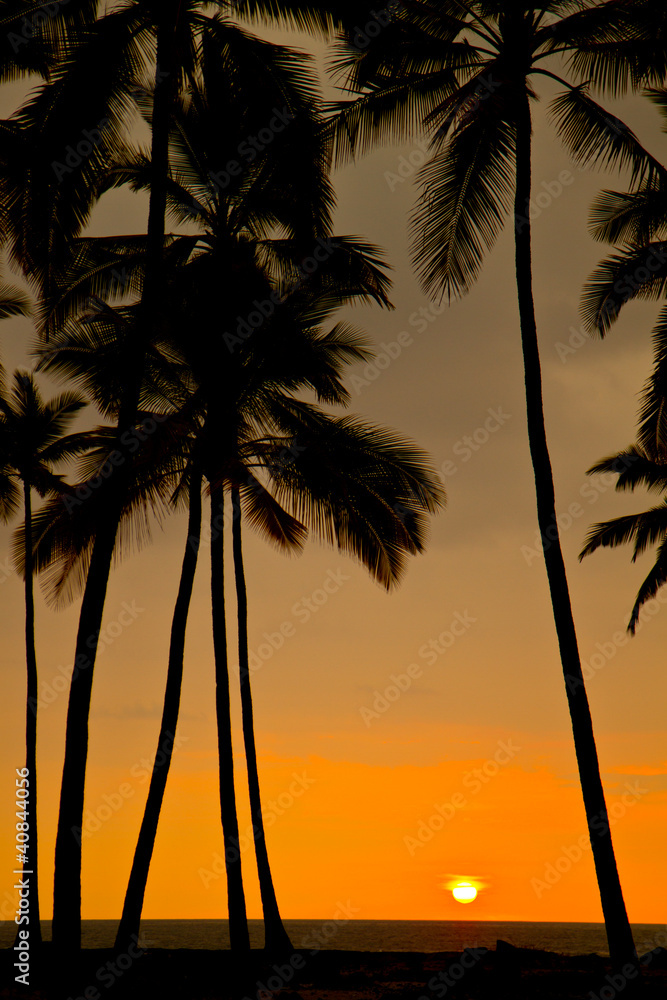 Fototapeta premium tropical sunset