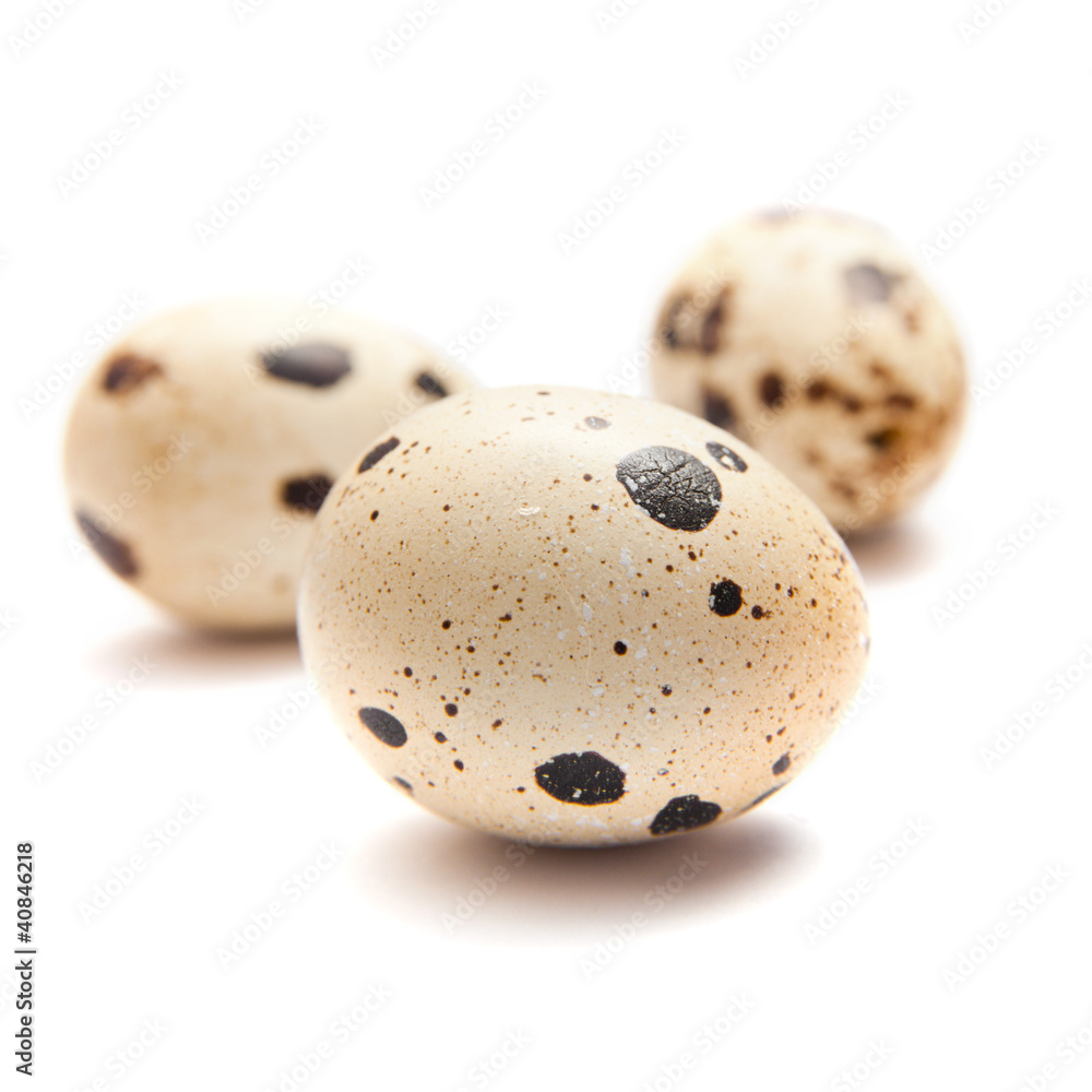 quail eggs on white surface