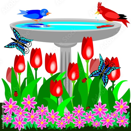 Принти на полотні Birdbath and tulips