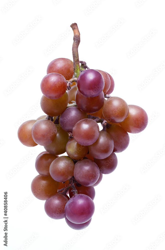 Fototapeta premium Grapes