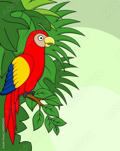 Macaw cartoon