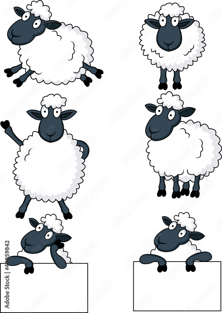 Fototapeta premium Sheep cartoon