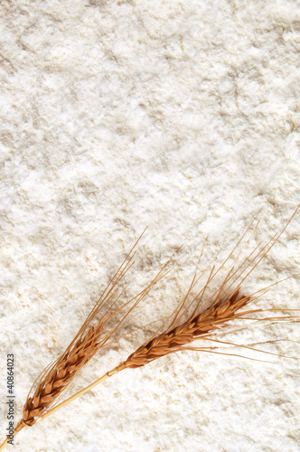 White flour with wheat ears background texture