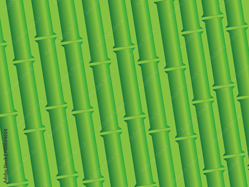Fototapeta premium Bamboo Background