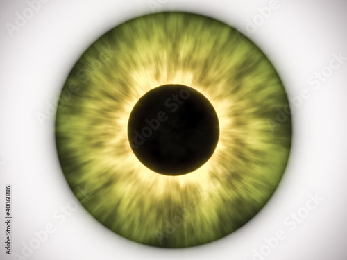 Photography green eye