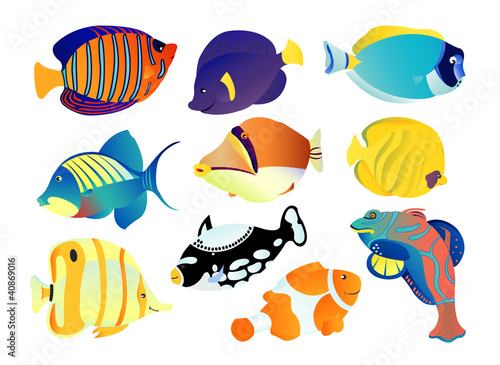Fish