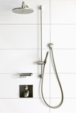 Luxury trendy shower room