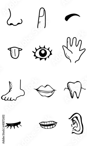 Body Part - icon set