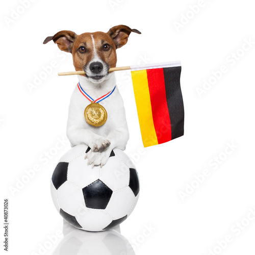 dog as soccer with medal and  flag photo