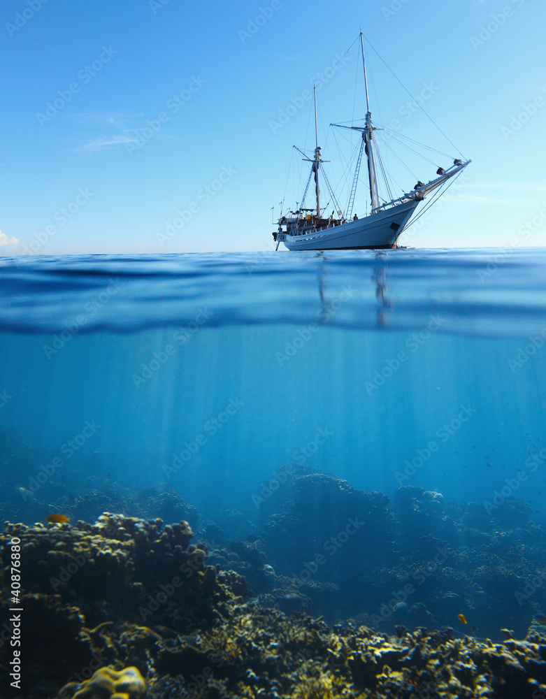 Obraz premium Collage underwater