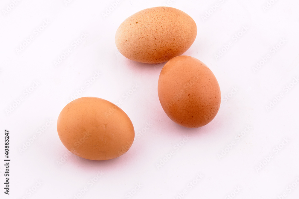 tree eggs tree eggs