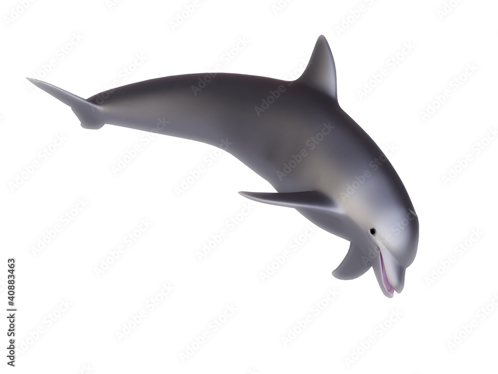 Fototapeta premium 3d Dolphin