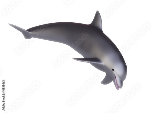 3d Dolphin