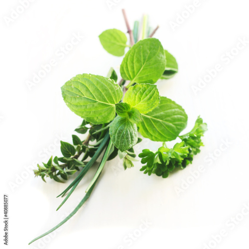 Herb Series - Mixed Herbs