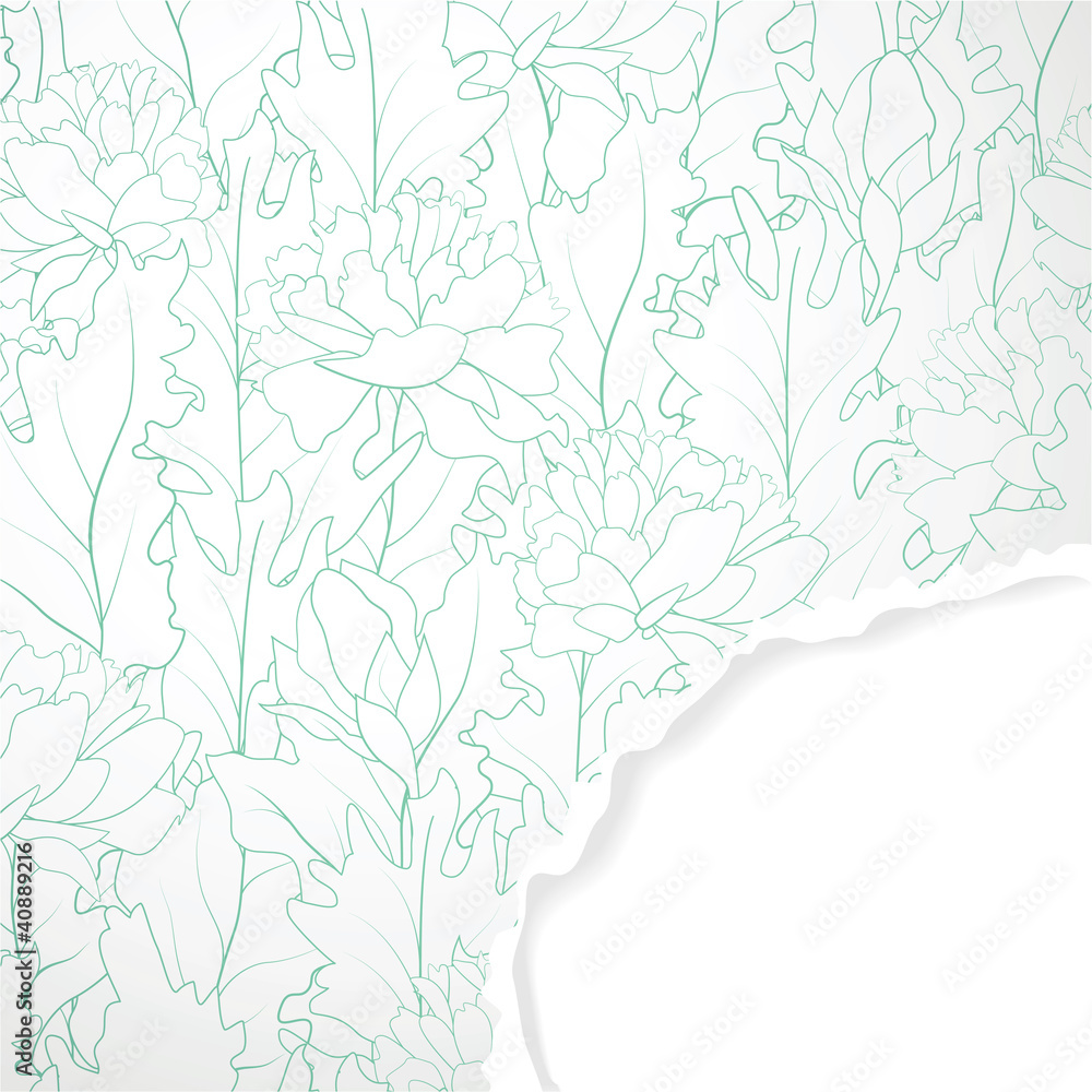 The background with torn corner of a paper The background with torn corner of a paper