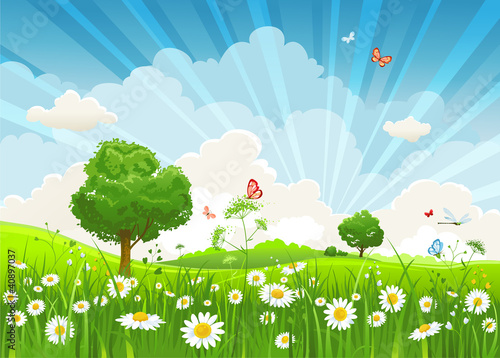 Summer vector landscape
