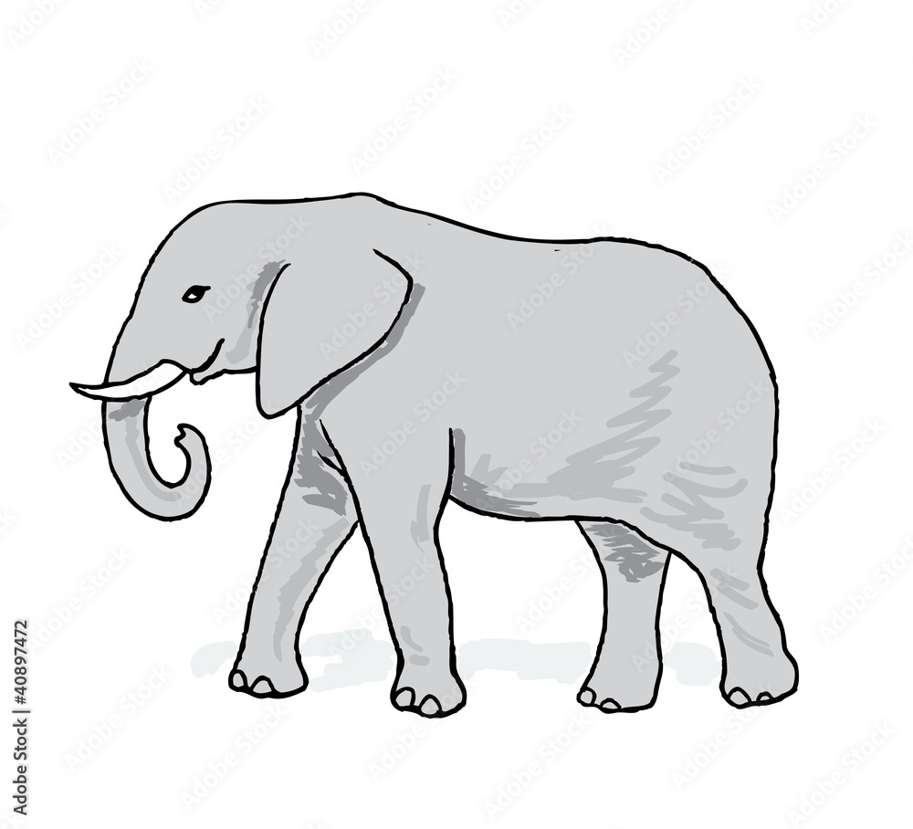 African Elephant African Elephant