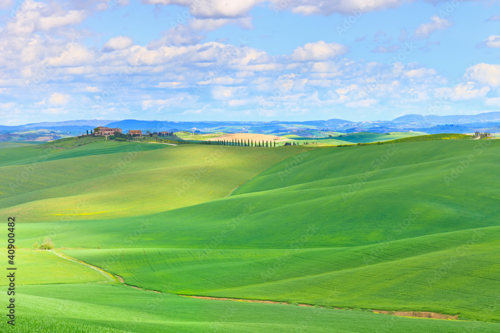 Tuscany, Crete Senesi country landscape, Italy. Hills, Green fie