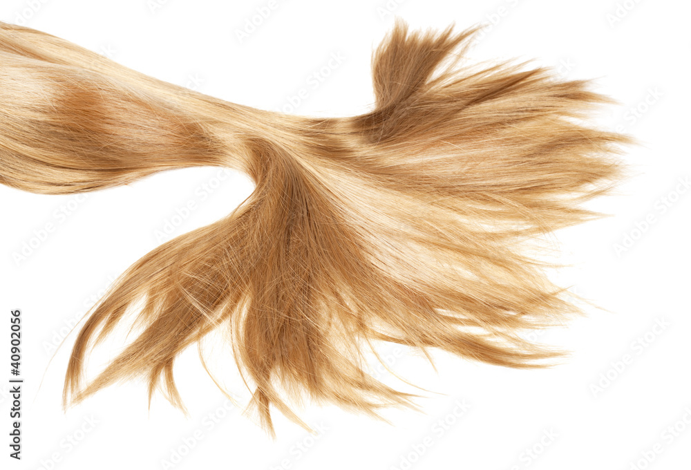 Fototapeta premium healthy hair
