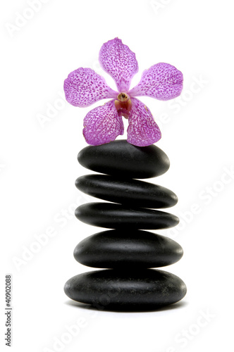 Pink orchid and stones isolated