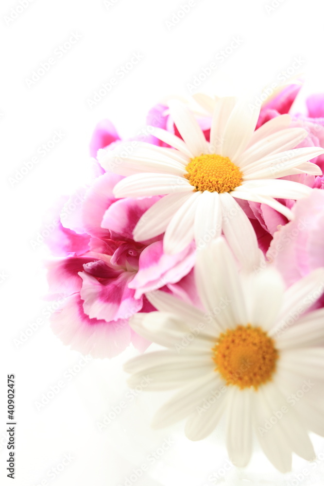 Elegant daisy and pink carnation