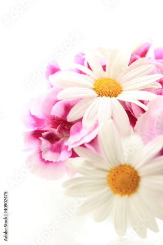 Elegant daisy and pink carnation