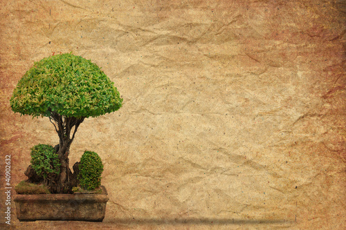 Tree with old grunge paper vintage background