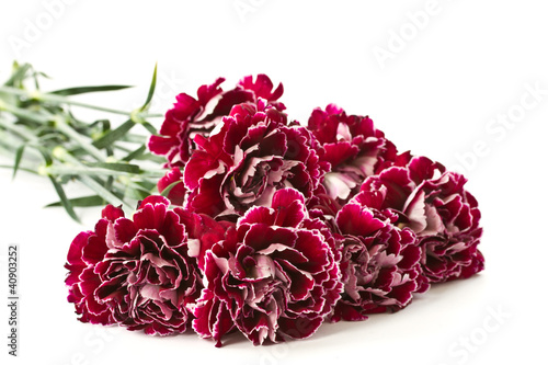 beautiful bouquet of carnations