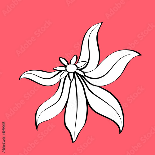 Decorative flower, element for design © buia_gatta