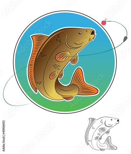 carp