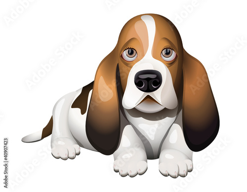 Basset Hound puppy lying on floor