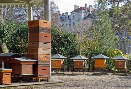 ruches en ville (Paris France)