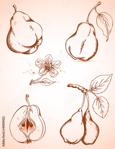 vintage pears