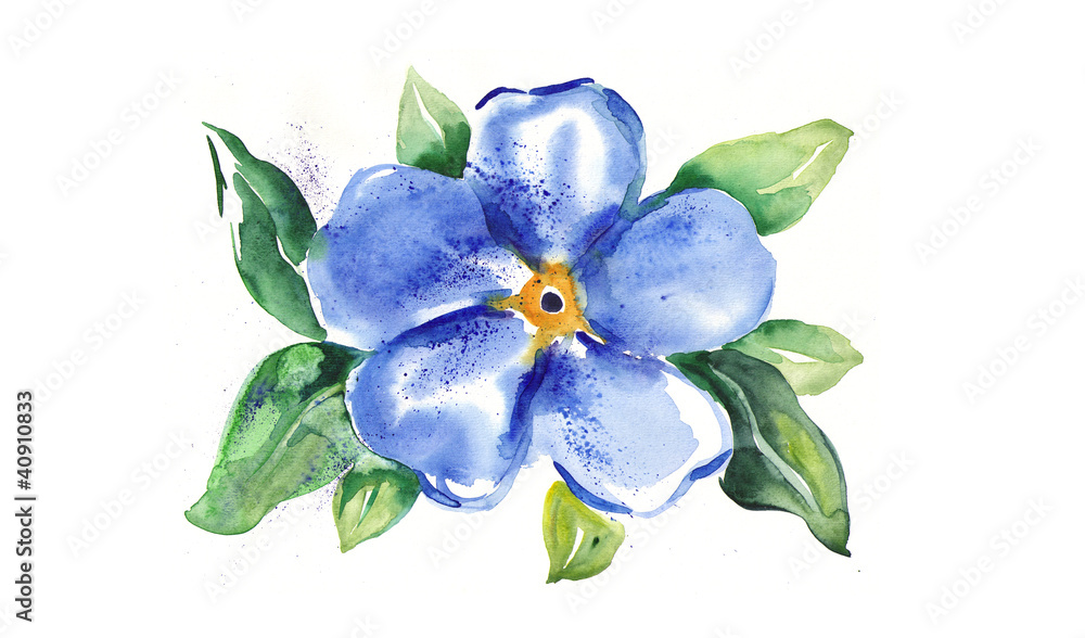 Obraz premium Watercolor -Forget-me-not-