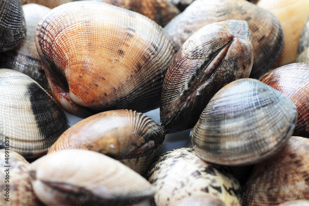 scene clams steamed scene clams steamed