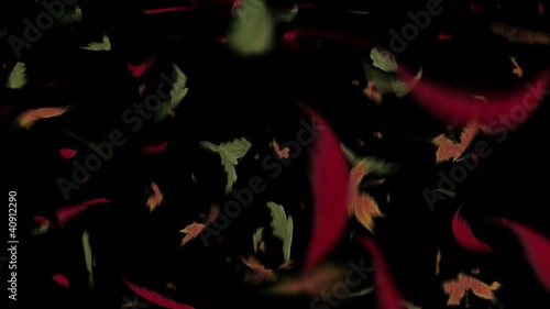 dead leaves