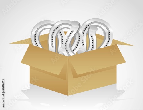 open cardboard box whit horseshoe