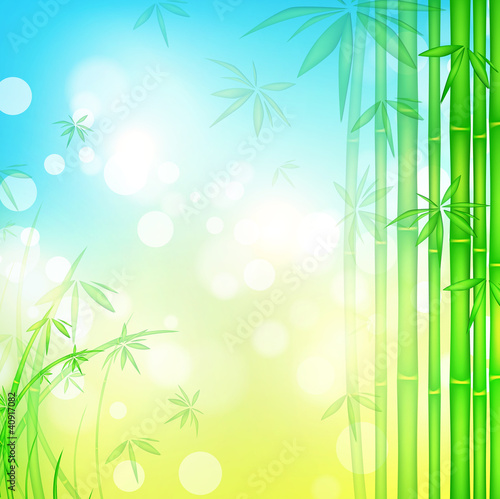 bamboo forest with blue sky