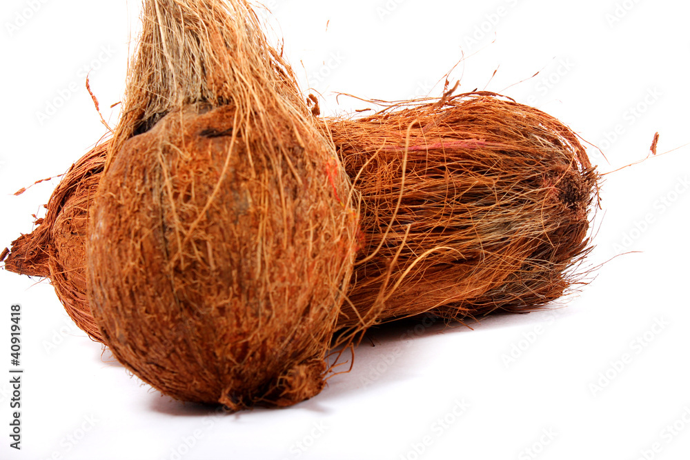 coconut coconut