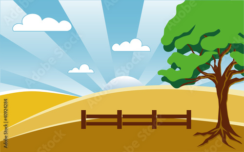 Country Landscape, summer  fields, rolling hills, oak tree.