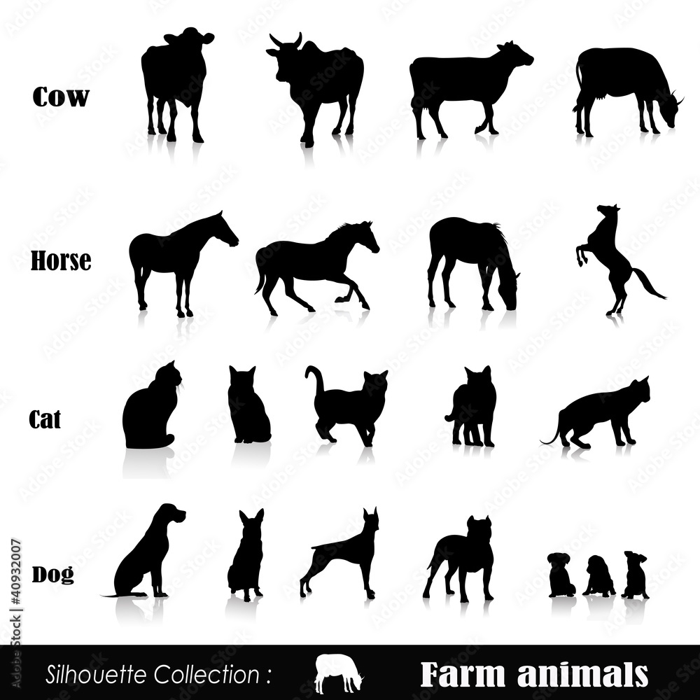 Vector set illustration: farm animals isolated on white