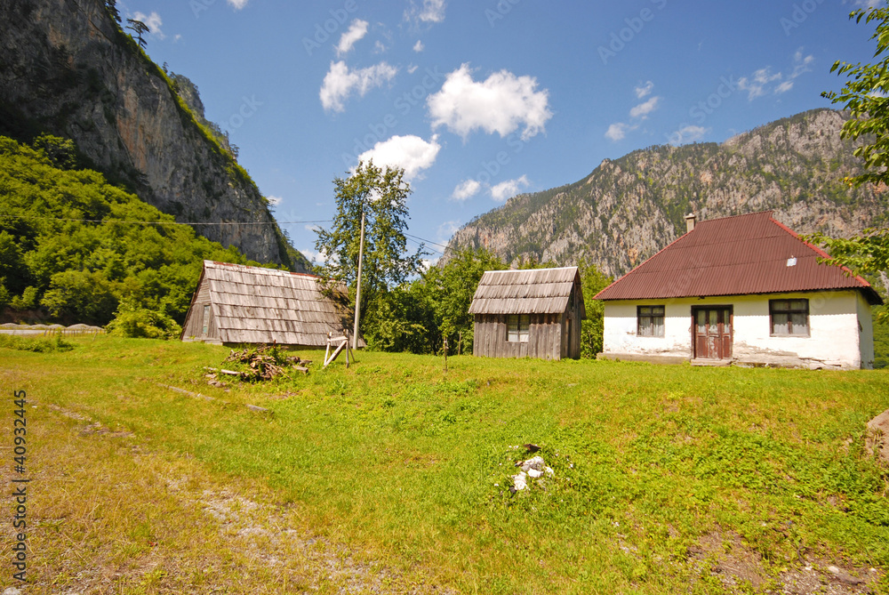 Summer rural landscape with mountain house(Montenegro)