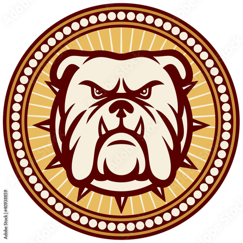 Bulldog head
