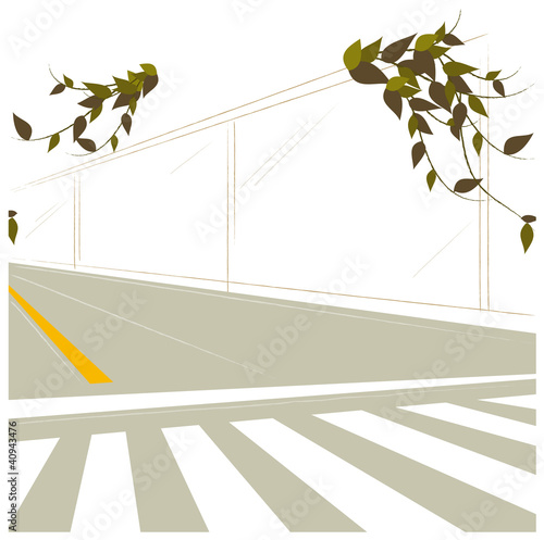 Crosswalk and dividing line on road